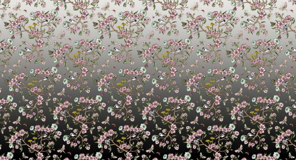 PHOTOWALL / Wagtails Spring - Fade to Black - Large (e337793)