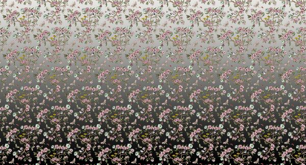 PHOTOWALL / Wagtails Spring - Fade to Black (e337794)