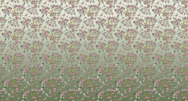 PHOTOWALL / Wagtails Spring - Green (e337796)