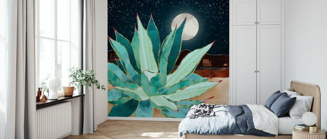 PHOTOWALL / Desert Agave (e338620)