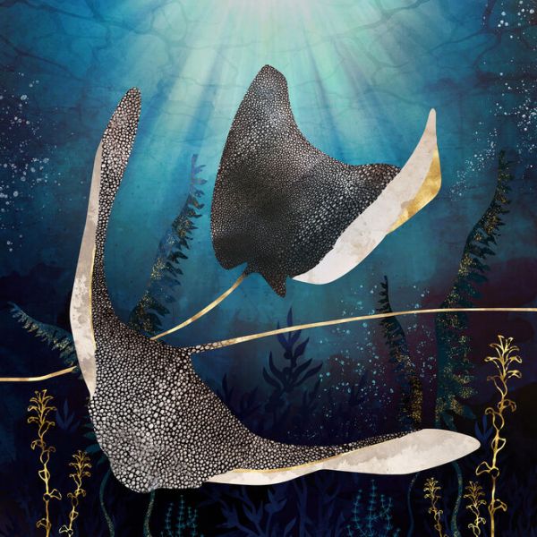 PHOTOWALL / Metallic Stingray (e338654)