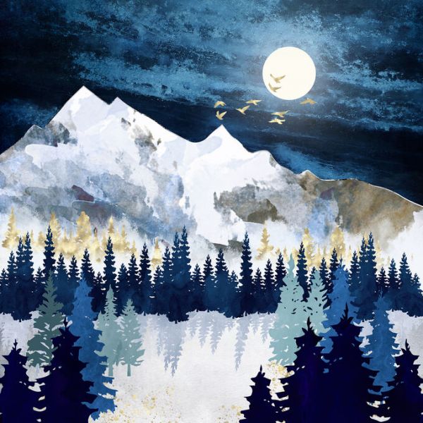 PHOTOWALL / Moonlit Snow (e338658)
