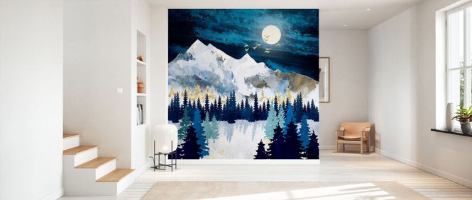 PHOTOWALL / Moonlit Snow (e338658)