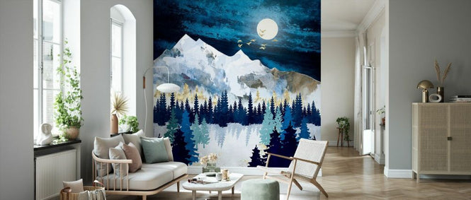 PHOTOWALL / Moonlit Snow (e338658)
