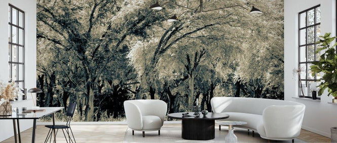 PHOTOWALL / Forest BW (e338857)