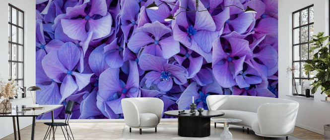 PHOTOWALL / Hydrangea Flowers (e338859)