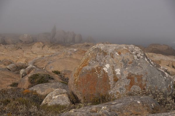 PHOTOWALL / Rock Patterns III (e338866)