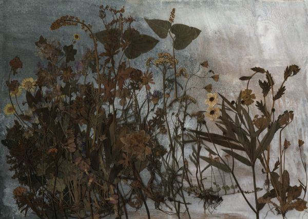 PHOTOWALL / Folklore (e338912)