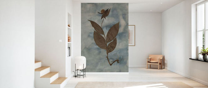 PHOTOWALL / Ladyslipper (e338913)