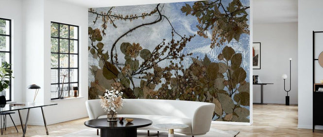 PHOTOWALL / Trees (e338915)