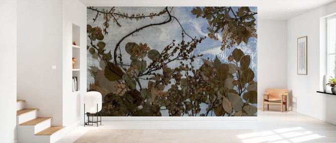 PHOTOWALL / Trees (e338915)