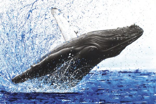 PHOTOWALL / Moreton Whale Dance (e338674)