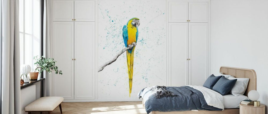 PHOTOWALL / Mischievous Macaw (e83863)