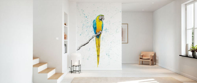 PHOTOWALL / Mischievous Macaw (e83863)