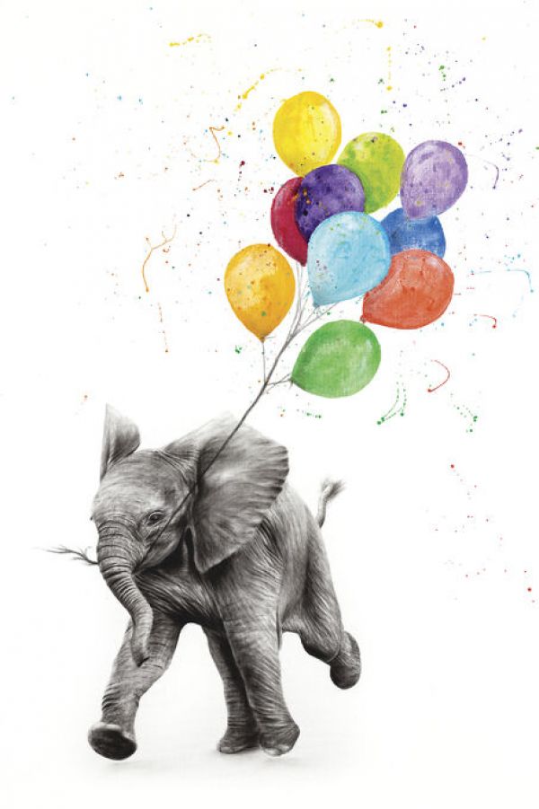 PHOTOWALL / Elephant Freedom (e83877)