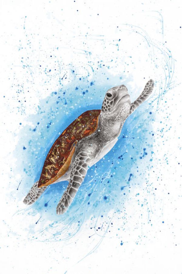 PHOTOWALL / Happy Sea Turtle (e83882)
