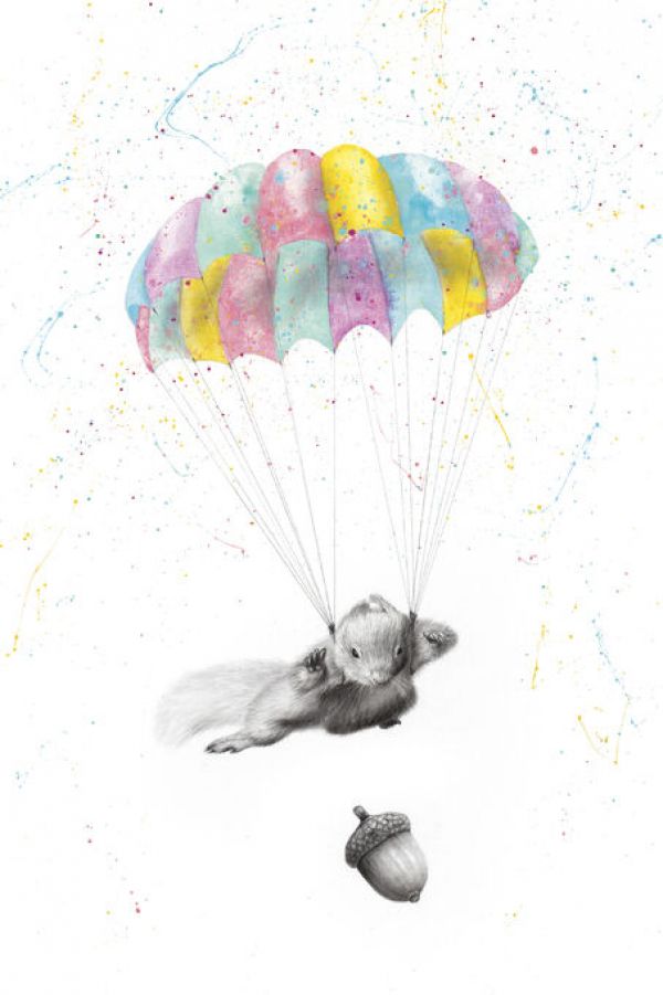 PHOTOWALL / Squirrel Dreams (e83890)