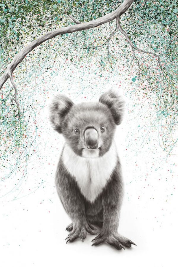 PHOTOWALL / Koala Pride (e83909)
