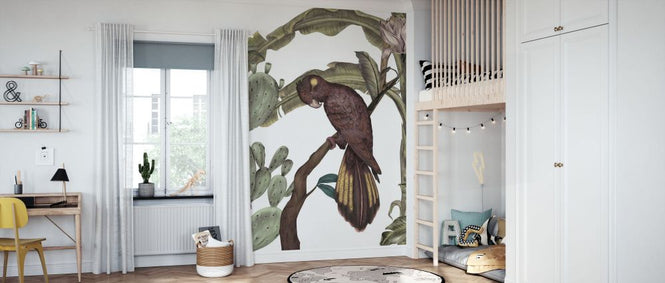PHOTOWALL / Black Parrot (e84086)