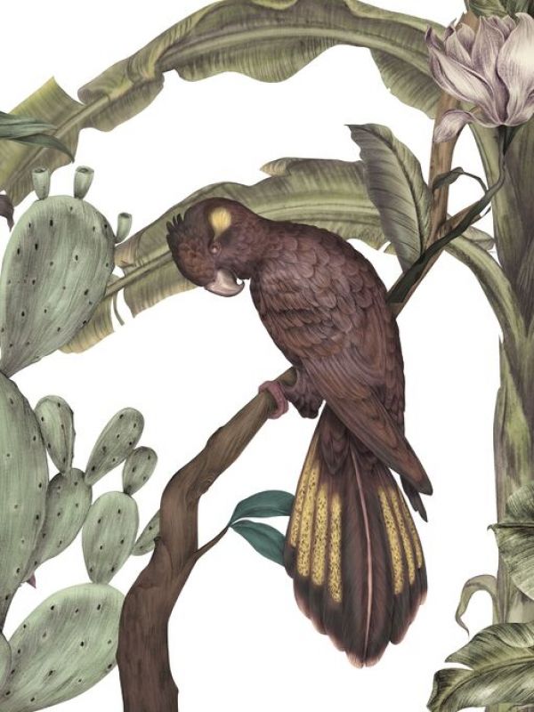 PHOTOWALL / Black Parrot (e84086)