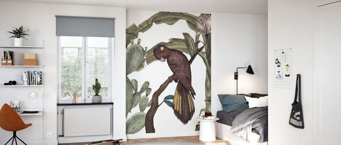 PHOTOWALL / Black Parrot (e84086)