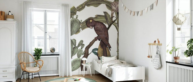 PHOTOWALL / Black Parrot (e84086)