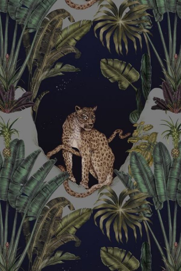 PHOTOWALL / Persian Leo (e84103)