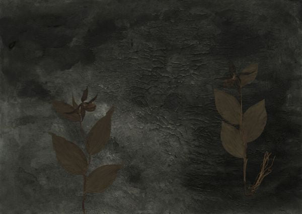 PHOTOWALL / Lady Slippers II (e84412)