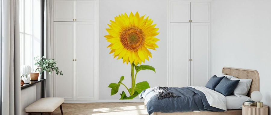 PHOTOWALL / Sunflower (e84540)