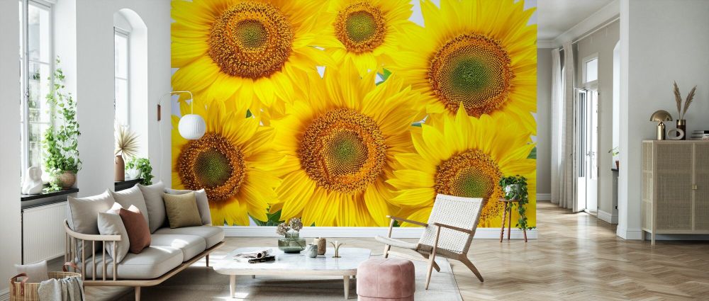 PHOTOWALL / Yellow Sunflowers (e84541) | 輸入壁紙専門店
