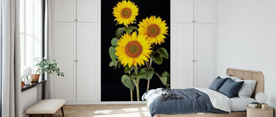 PHOTOWALL / Three Sunflowers (e84542)