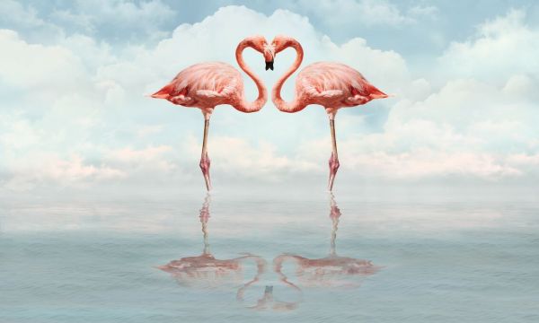 PHOTOWALL / Pair of Flamingo (e84864)