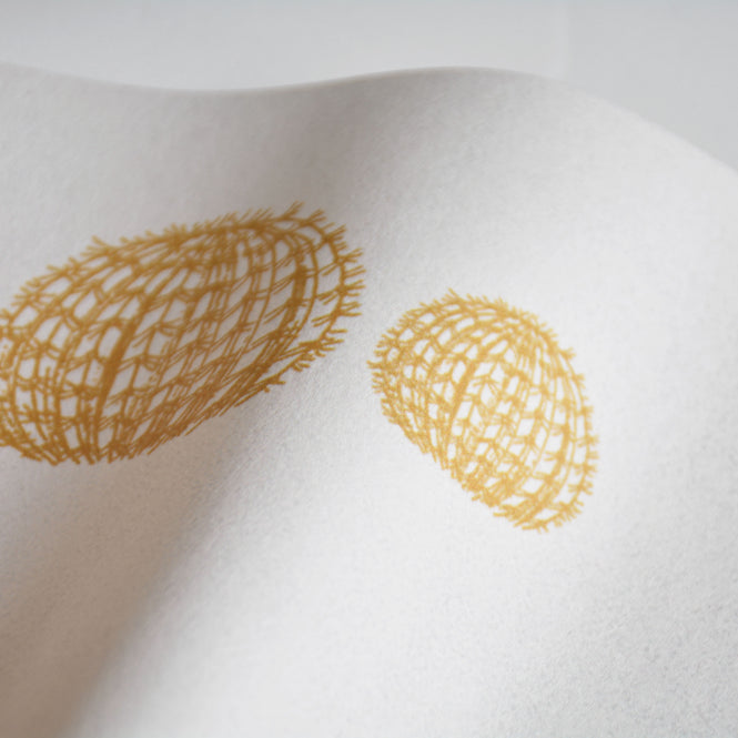 輸入壁紙 coordonne / Instant / 8500001 N