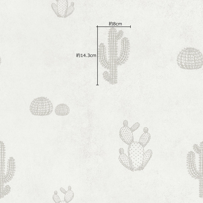 サボテンサイズ参照画像