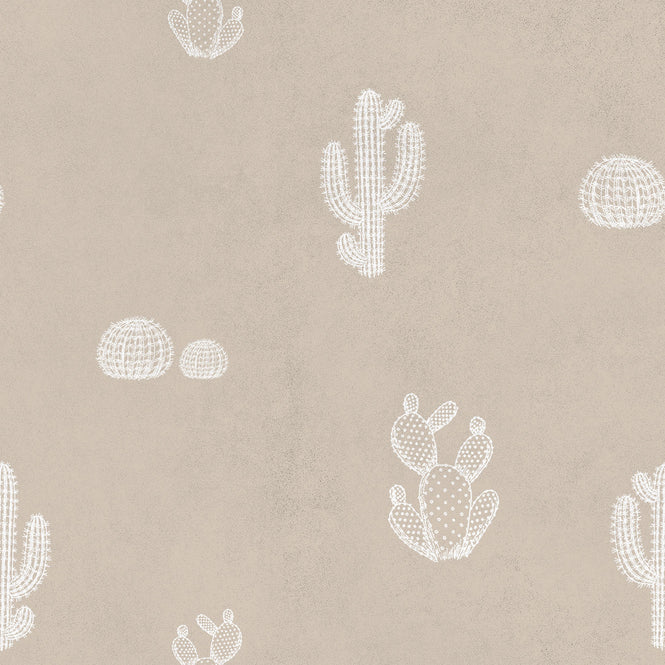 coordonne / Instant / 8500004 N