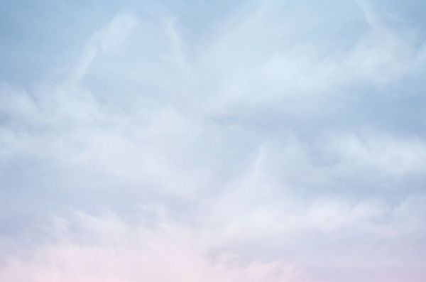 PHOTOWALL / Summer Haze (e85083)