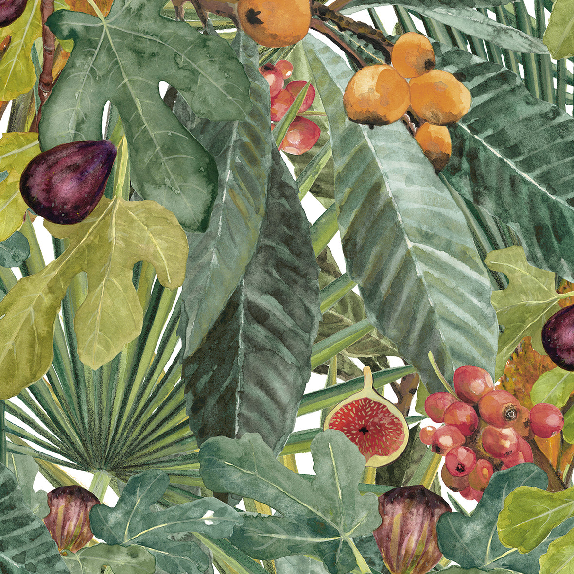 coordonne / METAMORPHOSIS / NEO-VEGETABLE 8800006 N | 輸入壁紙専門