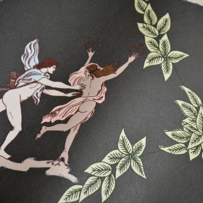 coordonne / METAMORPHOSIS / NEO-BUCOLIC 8800056 N