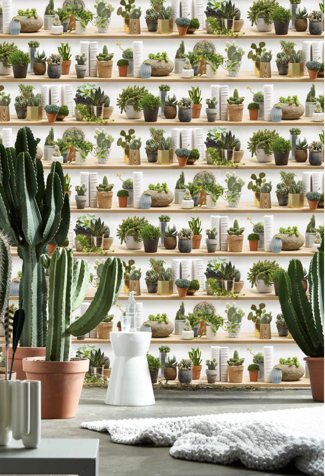 【切売m単位】KOZIEL / STYLIZED CACTUS ON SHELVES WALLPAPER 8888-402