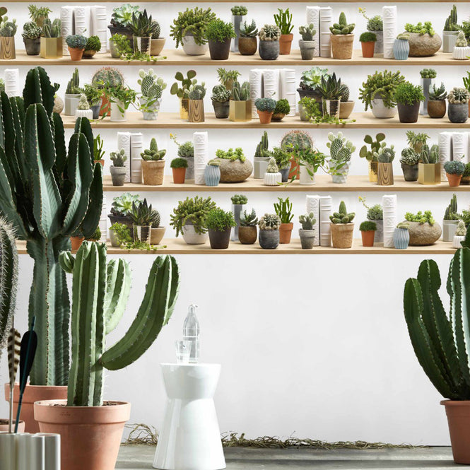 【切売m単位】KOZIEL / STYLIZED CACTUS ON SHELVES WALLPAPER 8888-402
