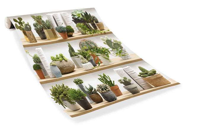 【切売m単位】KOZIEL / STYLIZED CACTUS ON SHELVES WALLPAPER 8888-402