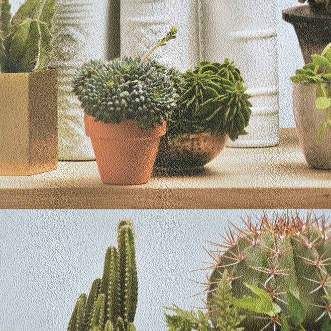 【切売m単位】KOZIEL / STYLIZED CACTUS ON SHELVES WALLPAPER 8888-402