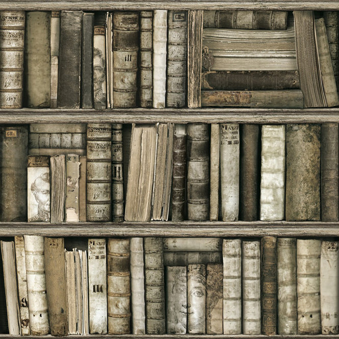 【切売m単位】KOZIEL / BIBLIOTHEQUE ANTIQUE (本棚) 8888-561