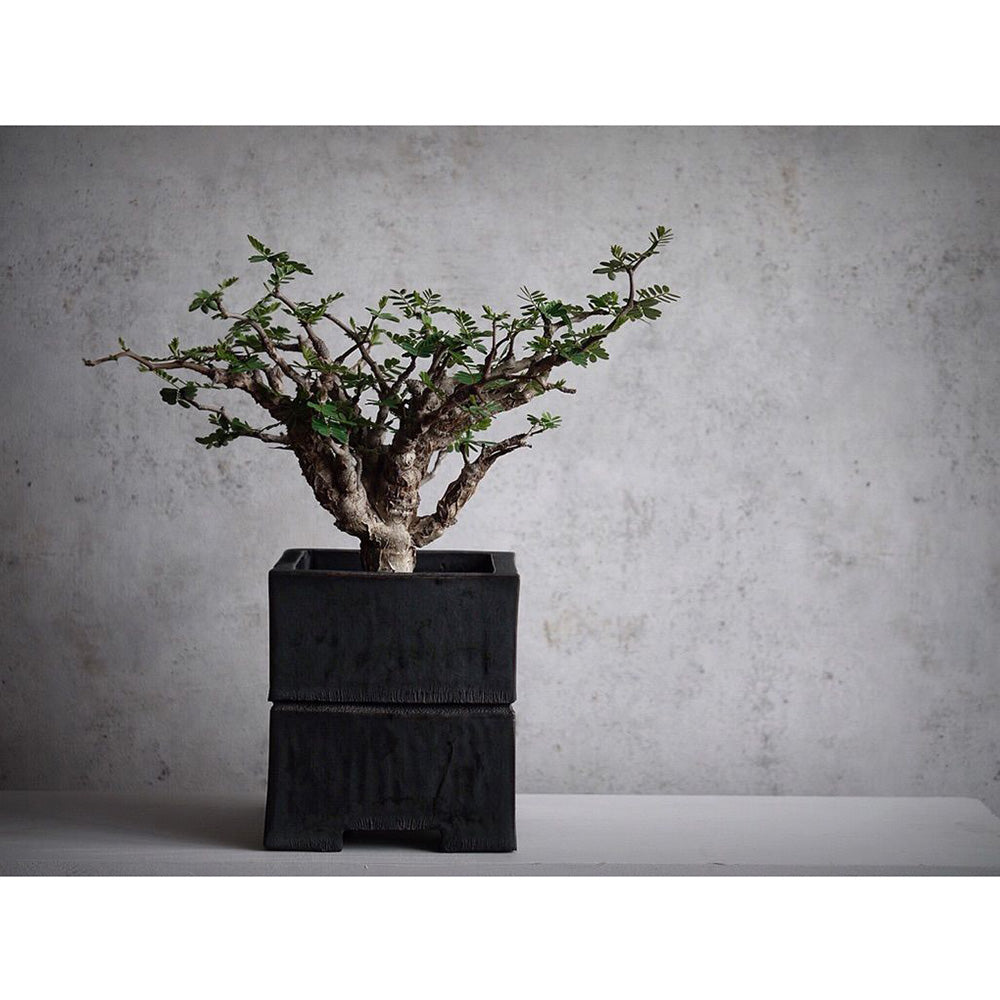 rasch ラッシュ / 939514 (Factory III) | 輸入壁紙専門店 WALPA