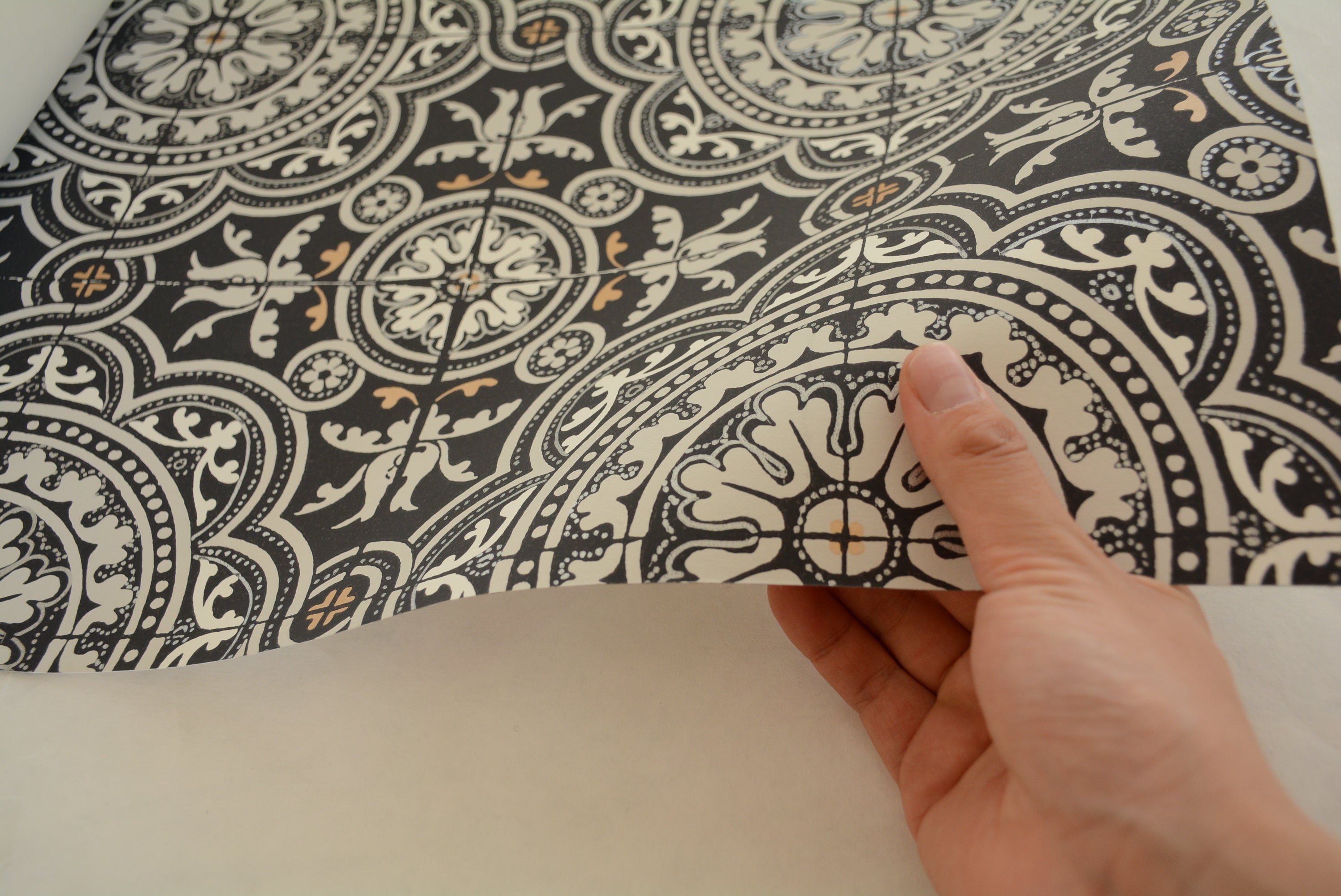 Cole&Son / ALBEMARLE / 94/8045 | 輸入壁紙専門店 WALPA – WALPA.jp