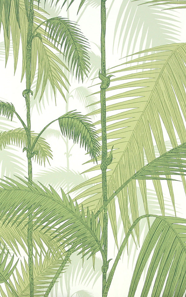 Cole&Son / CONTEMPORARY RESTYLED / Palm Jungle 95/1001