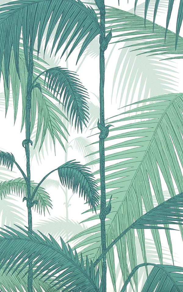 Cole&Son / CONTEMPORARY RESTYLED / Palm Jungle 95/1002