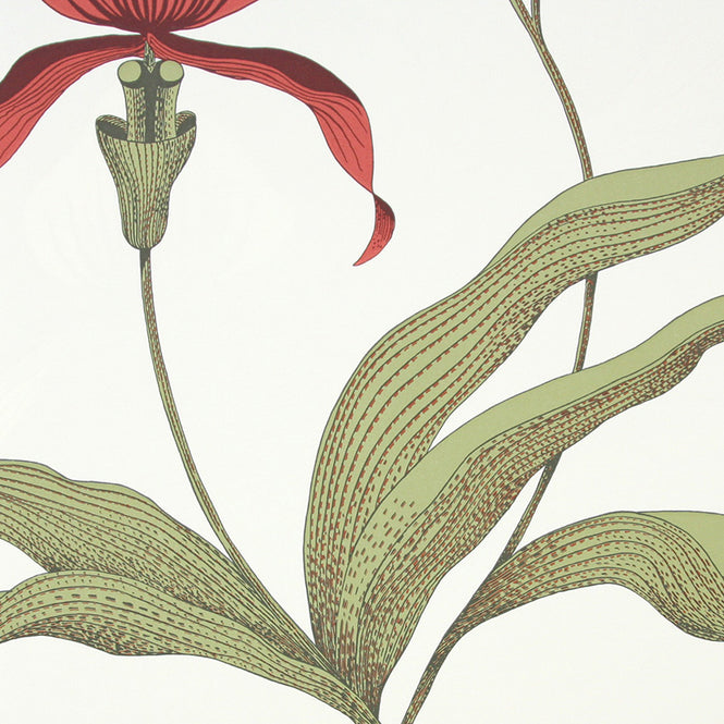 Cole&Son / CONTEMPORARY RESTYLED / Orchid 95/10054