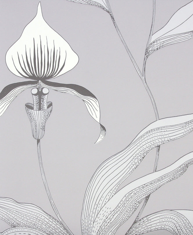 Cole&Son / CONTEMPORARY RESTYLED / Orchid 95/10055