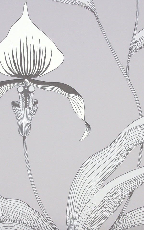 Cole&Son / CONTEMPORARY RESTYLED / Orchid 95/10055